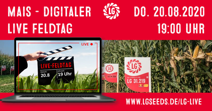 Digitaler Live-Feldtag vom Mais Demofeld Digitaler Live-Feldtag vom Mais Demofeld